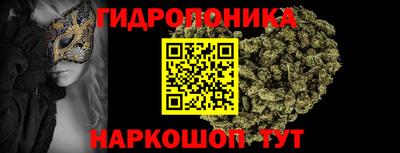 a pvp Свободный