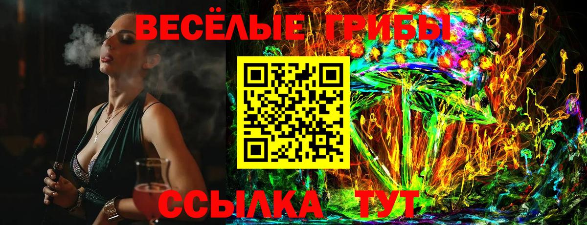 закладки  Галлюциногенные грибы GOLDEN TEACHER  Вход с VPN  Новошахтинск 